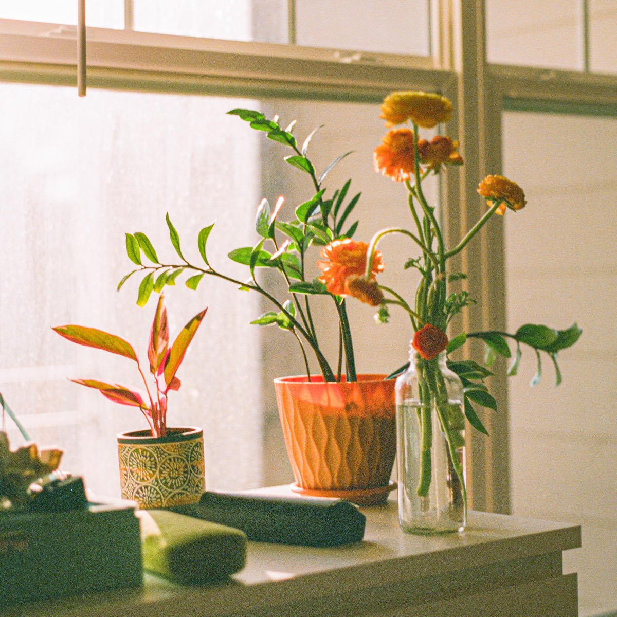 Film photograph 006301210001