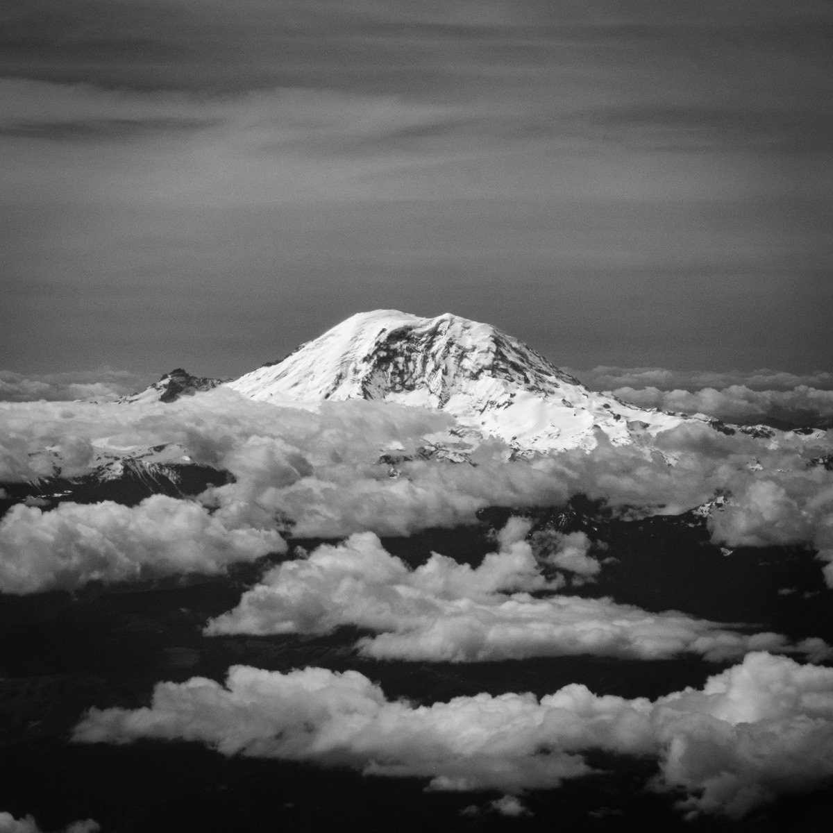 Mountain Rainer NP collection cover
