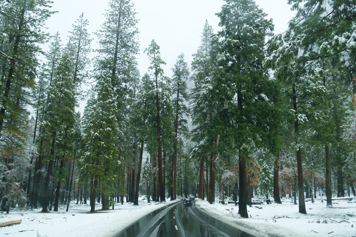 Yosemite collection cover